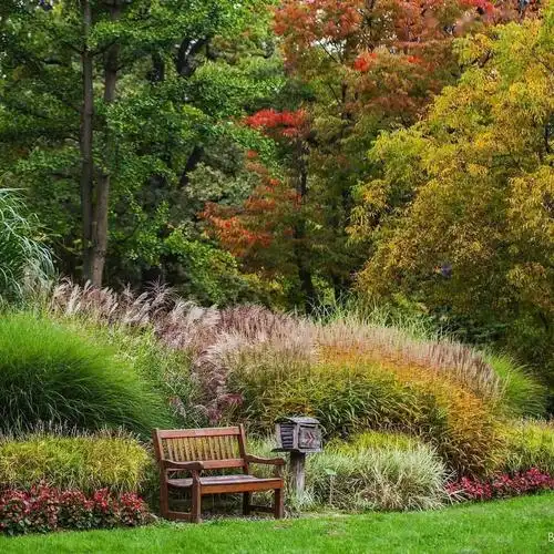 姿态优美的观赏草,在花园里还原自然之美,营造"野趣"世界!