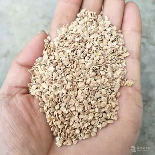 番茄籽提取物宁夏厂家供应番茄籽粉报价/产地