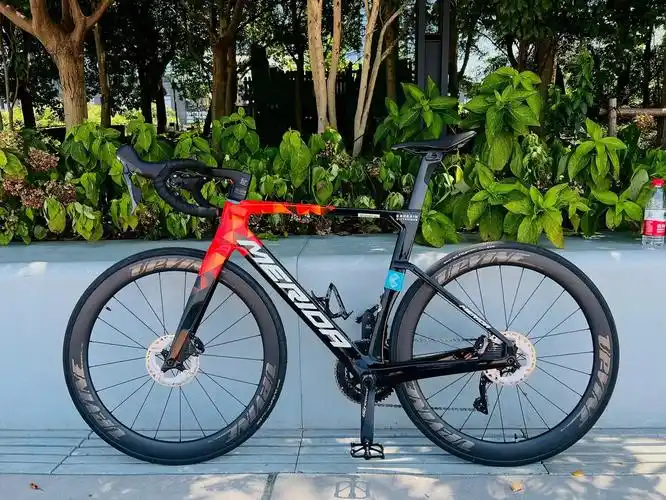 公路自行车 #瑞克多5000 #美利达 - 抖音