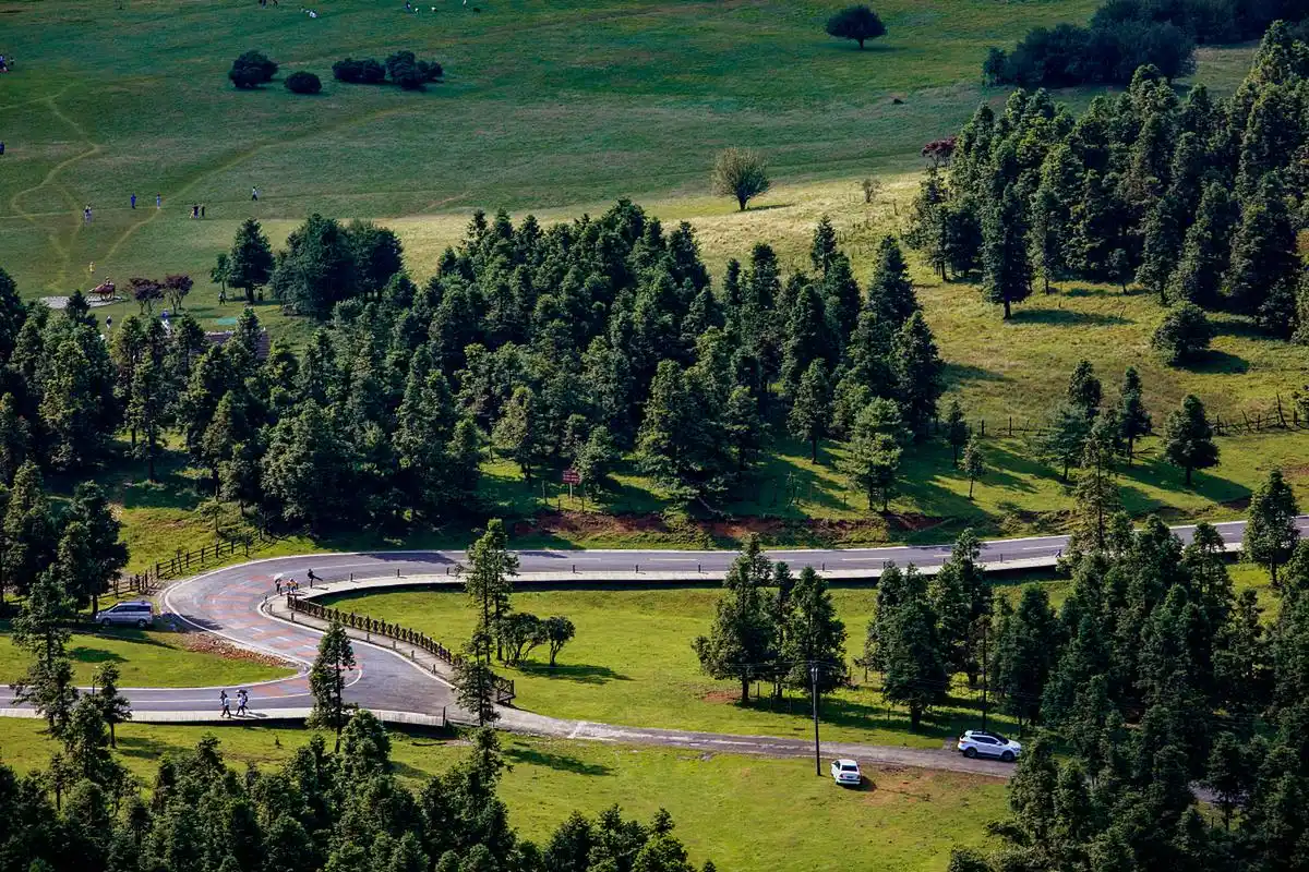 重庆仙女山的大草原,是大自然的宝藏.