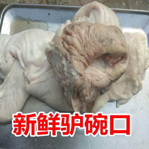 新鲜驴欢喜驴二姐母驴阴道子宫卵巢驴逼驴生殖器碗口顺丰包邮