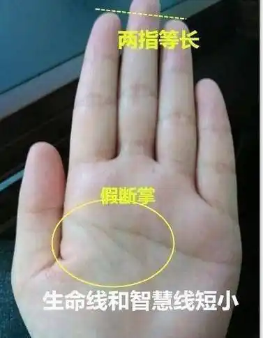 男人手掌有这种"龙头纹",年少贫穷中年时运一到,必定大器晚成