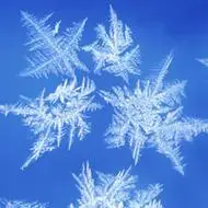 冰花图片头像大全