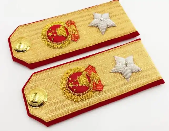 经典军事博物馆收藏金丝手绣天安门将星陆军元帅常服肩章领章套装