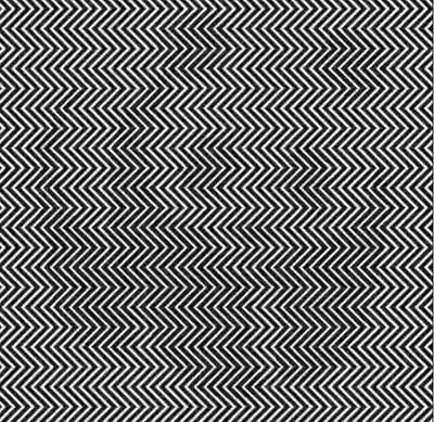 考眼力图中隐藏了什么动物