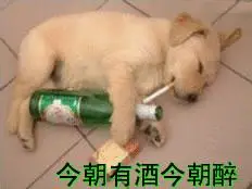 小狗今朝有酒今朝醉-微表情网