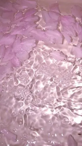 屏壁纸/无水印壁纸/风景壁纸/神仙壁纸/手机壁纸/聊天背景/少女心壁纸