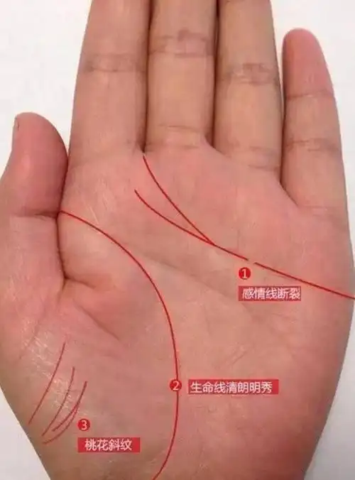 从手相看女人的婚姻有二婚的手相揭秘