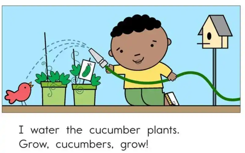 伴读| raz d:grow, vegetables, grow