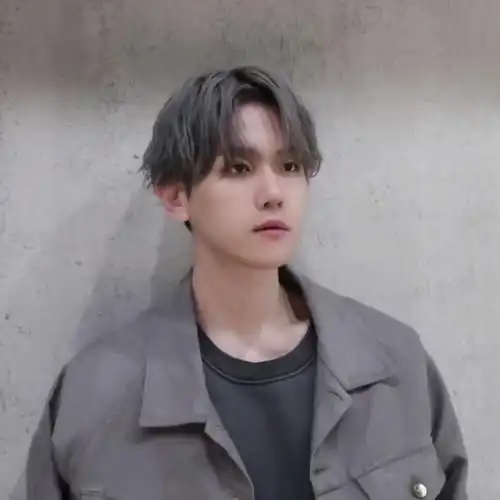 边伯贤套图3可二改看简介