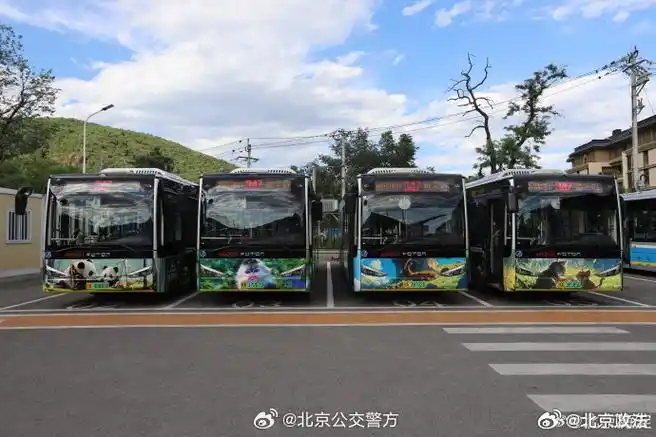 【#北京熊猫主题公交车上线#快乘坐它畅游动物园!