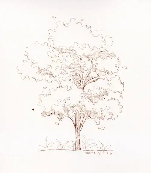 第二波大树线稿