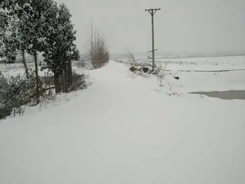 瑞雪迎新年,瑞雪兆丰年!【湖北仙桃农村第一场大雪】