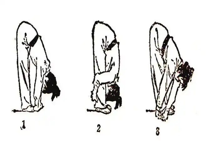 武术基本功招式图解_武术基本功动作图解
