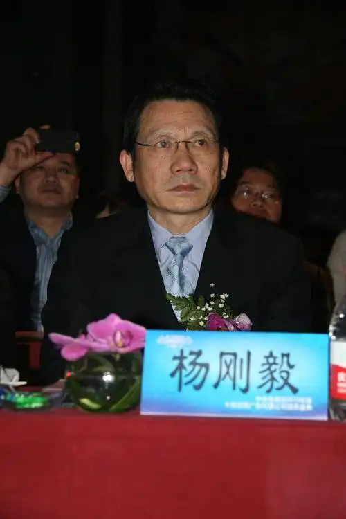 中央电视台中文国际频道总监 杨刚毅 先生