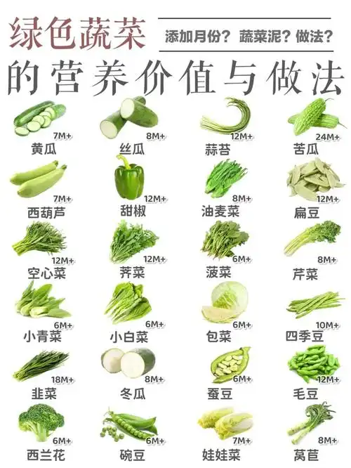 【绿色蔬菜说明书】蔬菜的营养价值6315适合做法