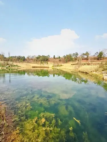 成都金堂杨溪谷湿地公园