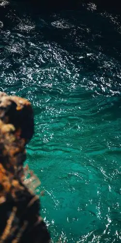 手机壁纸《第四十一期》高清无水印