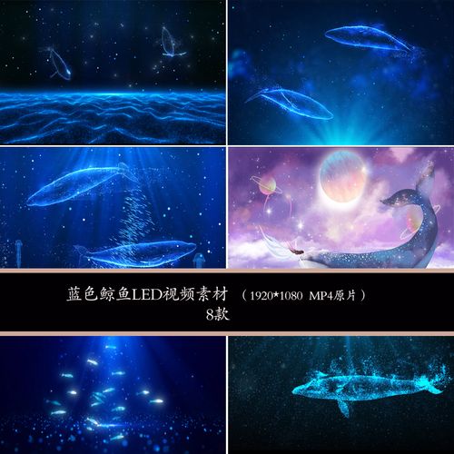 大气唯美海洋鲸鱼粒子背景视频素材鲸鱼背景鲸鱼舞台背景鲸鱼素材