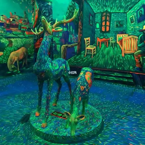 上海印象光绘艺术馆