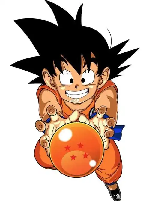 龙珠|孙悟空配色的tommy外套 vintage