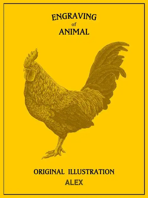 铜版画风格插画习作|动物系列