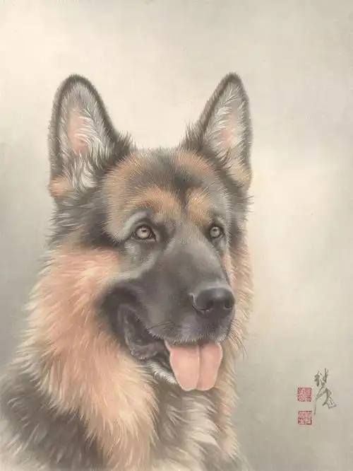 【国画教程】工笔画狗的画法,超详细步骤!