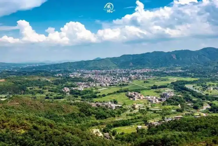 揭西县举办广东揭阳首届潮客粤菜师傅乡厨厨艺邀请赛(揭西初赛)