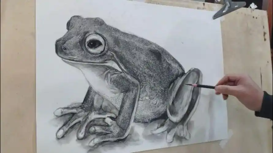 素描青蛙绘画过程.