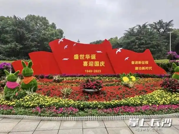 布置时令花卉约550万盆 长沙国庆"氛围感"拉满