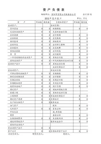 三大财务报表模板