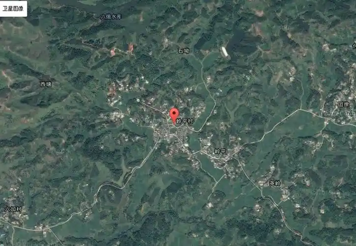 广西灵山具平南镇岭平村卫星地图