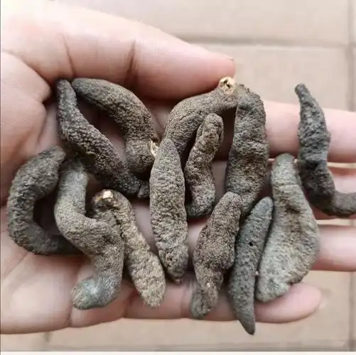 印尼野生白刺参刺秃参猪婆参白赤参海参干货淡干刺参 十年白刺参500g