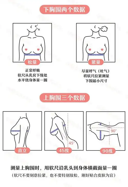 女生胸部最标准的4个形状男生禁入