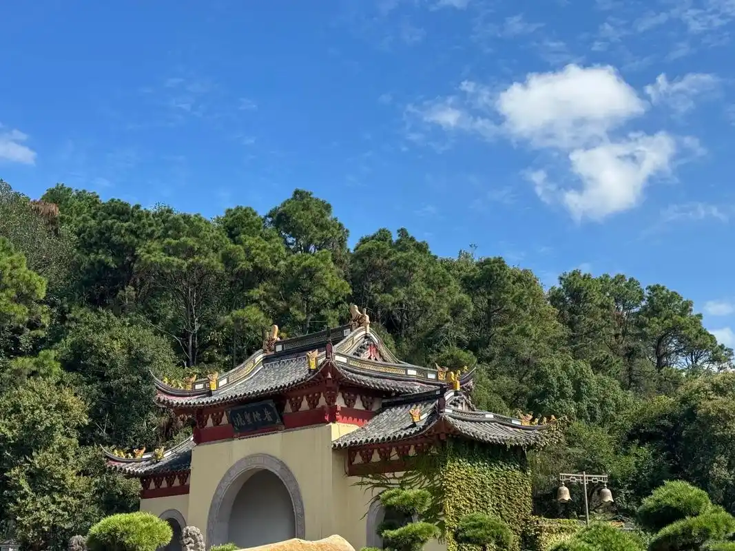 愿所求皆所愿05 #普陀山 #心诚则灵 #诸事顺