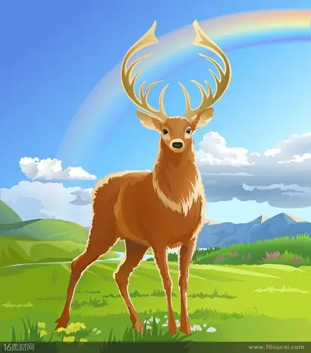 关键词:蓝天白云野外羚羊麋鹿森林草地野花彩虹春天卡通动物卡通动漫