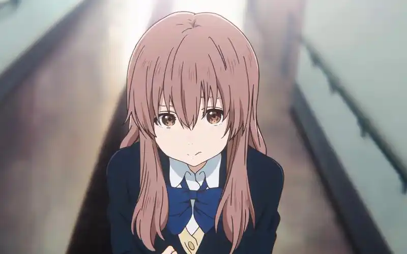 【4k高画质】以声之色,塑花之形;将你之名,刻于我心 ——《声之形》