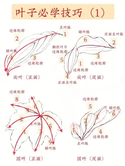 国画入门叶子的画法1简单75实用60