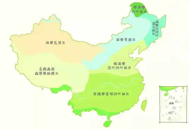 植树节|树木也有家乡,可别种错了树哦