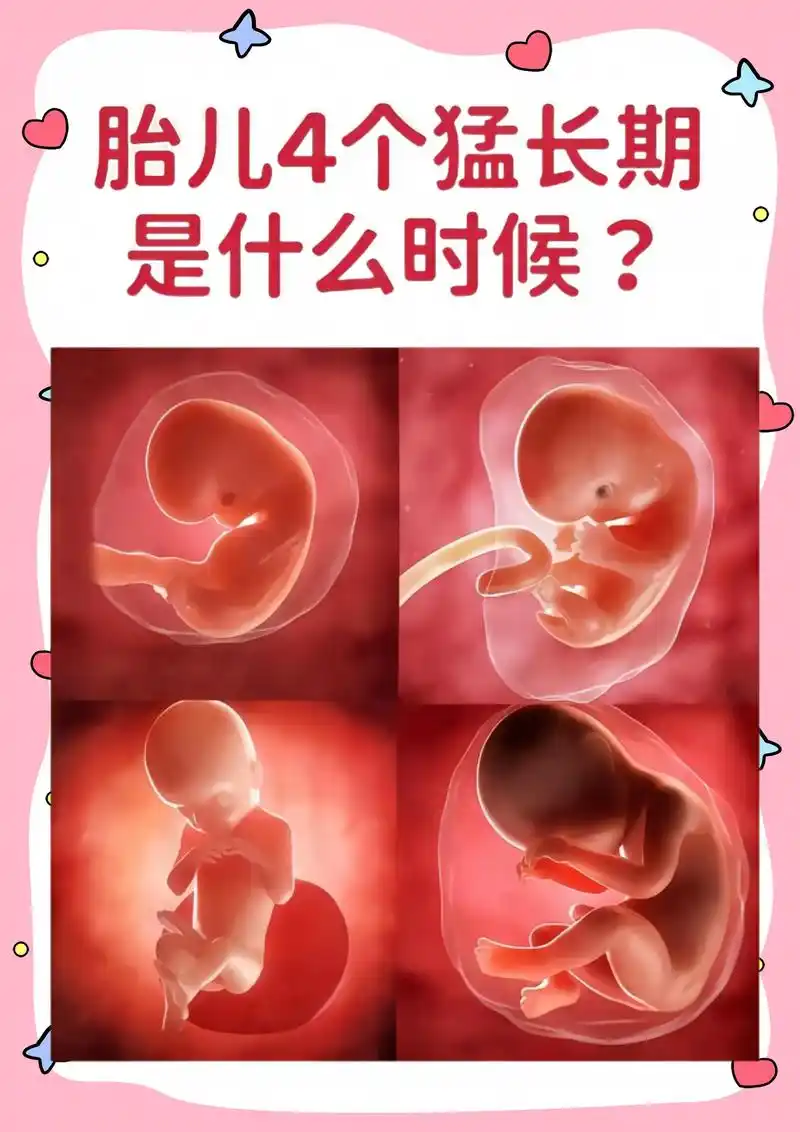 孕妈妈一定要知道!胎儿的四个猛长期.胎儿猛长期一般发生在孕8 - 抖音
