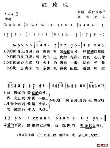 红玫瑰简谱-塔吉克族民歌