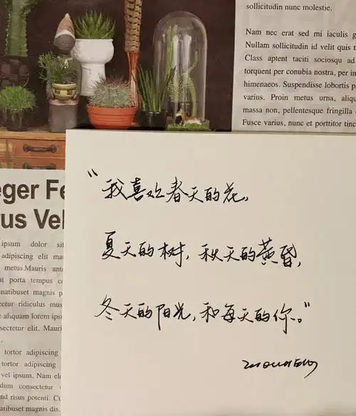 朋友圈令人沦陷的温柔文案手写分享