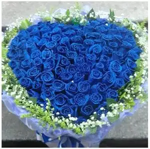蓝玫瑰鲜花99朵蓝色妖姬心形花束鲜花速递丽水缙云新碧镇花店送