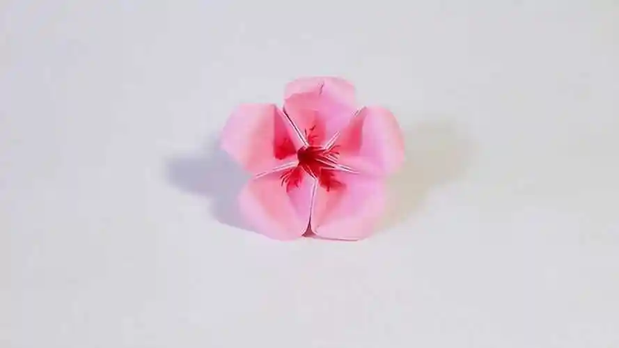 教你折纸桃花,简单漂亮形象,一学就会