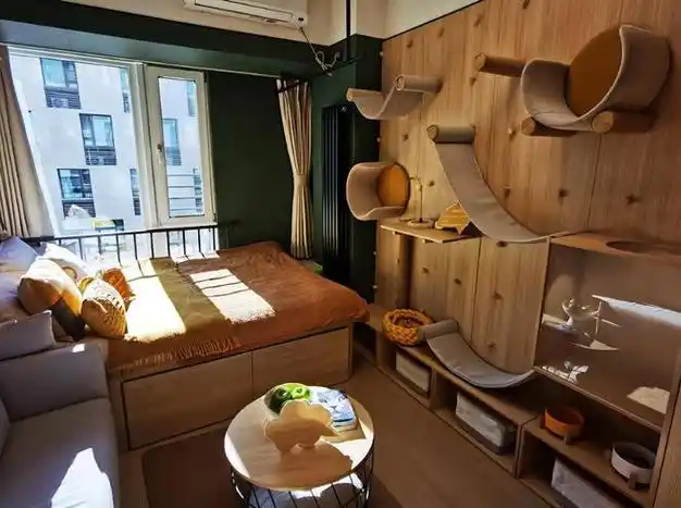 它们设计的五大主题房中就有宠物主题房,房间内软装都由防抓材质制成