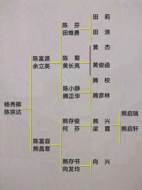 简易族谱图表(副本)