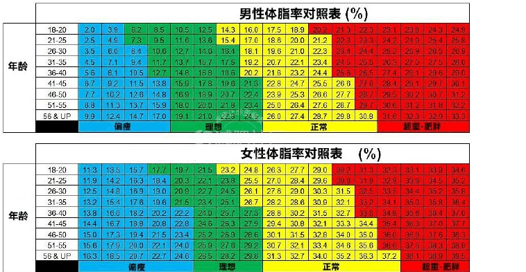 测测你的体脂率 附男女标准体脂率对照表