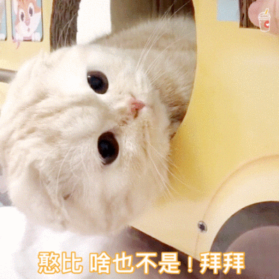 400_400gif 动态图 动图