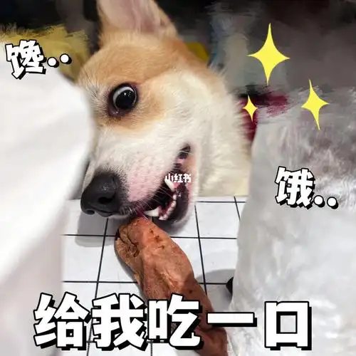 女人你确定不给我吃一口那我自己来