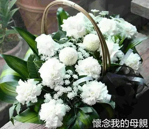 冬至节 . 怀念我的母亲